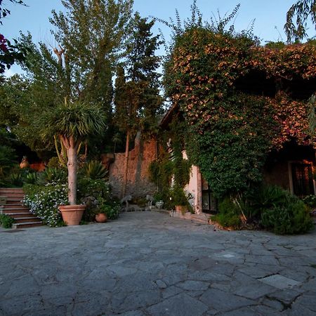 Villa Le Palme Forio  ภายนอก รูปภาพ