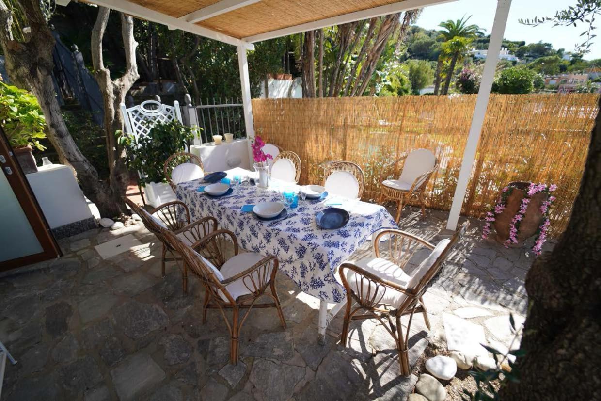 Villa Le Palme Forio  ภายนอก รูปภาพ
