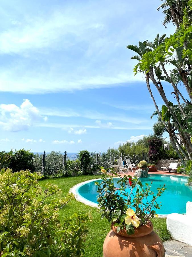 Villa Le Palme Forio  ภายนอก รูปภาพ