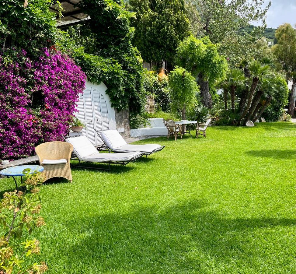 Villa Le Palme Forio  ภายนอก รูปภาพ