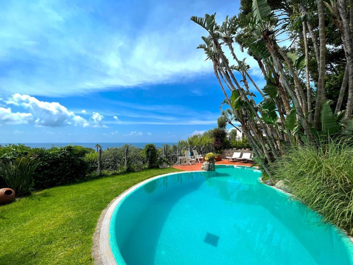Villa Le Palme Forio  ภายนอก รูปภาพ