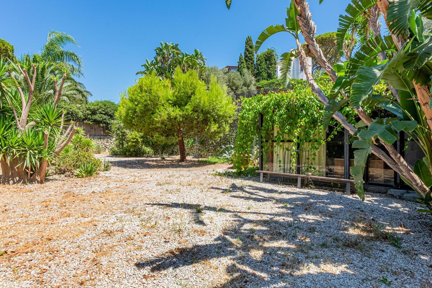 Villa Le Palme Forio  ภายนอก รูปภาพ